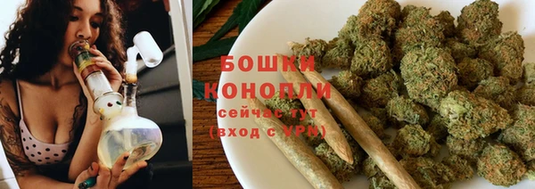 соль ск Бронницы