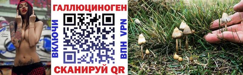 Галлюциногенные грибы прущие грибы  mega рабочий сайт  Малаховка 
